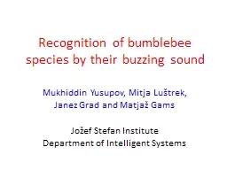 Recognition of bumblebee species by their buzzing sound