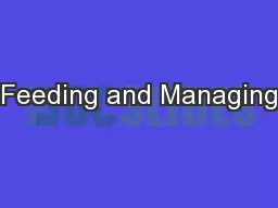 Feeding and Managing