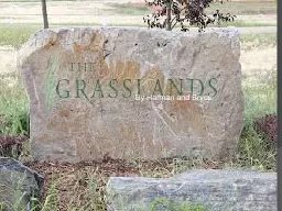 Grassland region