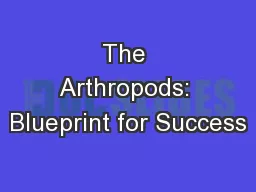 The Arthropods: Blueprint for Success