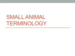 Small animal terminology