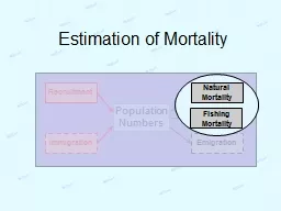 Estimation of Mortality