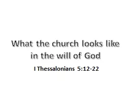 What the church looks like in the will of God