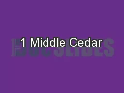 1 Middle Cedar