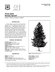 Fact Sheet ST October  Picea abies Figure