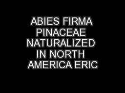 ABIES FIRMA PINACEAE NATURALIZED IN NORTH AMERICA ERIC
