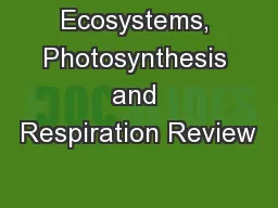 Ecosystems, Photosynthesis and Respiration Review