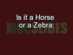 Is it a Horse or a Zebra: