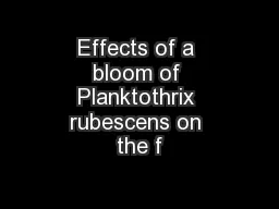 Effects of a bloom of Planktothrix rubescens on the f