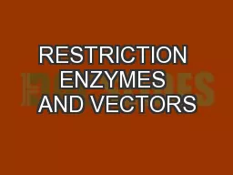 RESTRICTION ENZYMES AND VECTORS