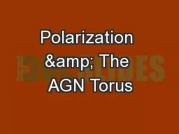Polarization & The AGN Torus