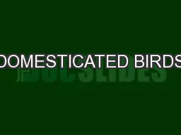 DOMESTICATED BIRDS