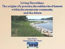 Living Shorelines: