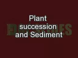 Plant succession and Sediment