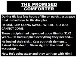 THE PROMISED COMFORTER