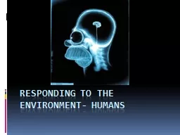 Responding to the environment- humans