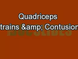 Quadriceps Strains & Contusions