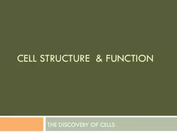 CELL STRUCTURE  & FUNCTION