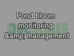 Pond bloom monitoring & management