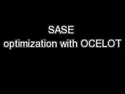 SASE optimization with OCELOT
