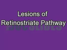 Lesions of Retinostriate Pathway