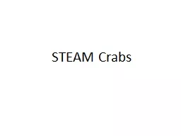 STEAM Crabs