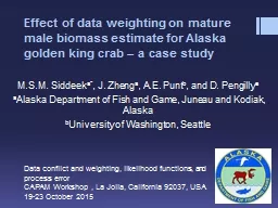 Effect of data weighting on mature male biomass estimate fo