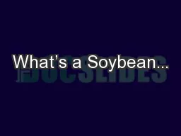 What’s a Soybean...