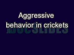 Aggressive behavior in crickets