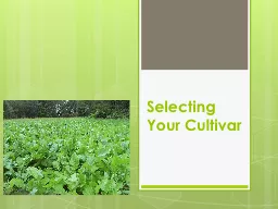 Selecting Your Cultivar