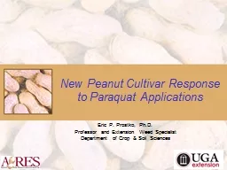 New Peanut Cultivar Response
