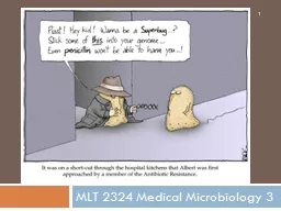 MLT 2324 Medical Microbiology 3