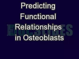Predicting Functional Relationships in Osteoblasts