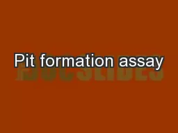 Pit formation assay