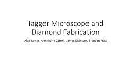 Tagger Microscope and Diamond Fabrication