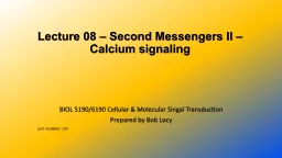 Lecture 08 – Second Messengers