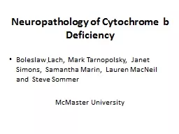 Neuropathology of Cytochrome  b Deficiency