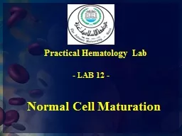Normal Cell Maturation