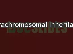 Extrachromosomal Inheritance