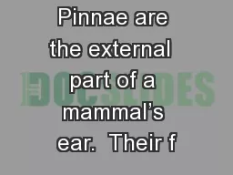 Pinnae are the external  part of a mammal’s ear.  Their f