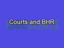 Courts and BHR