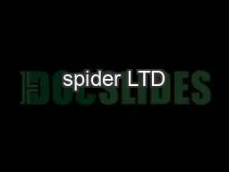Spider LTD