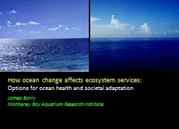 How ocean change affects ecosystem services: