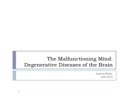 The Malfunctioning Mind: