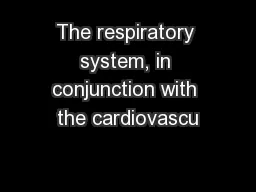 The respiratory system, in conjunction with the cardiovascu