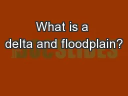 What is a delta and floodplain?