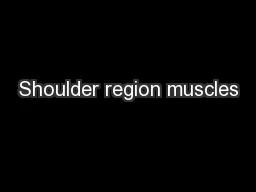 Shoulder region muscles