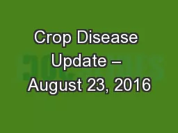Crop Disease Update – August 23, 2016