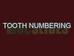 TOOTH NUMBERING