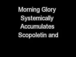 Morning Glory Systemically Accumulates Scopoletin and